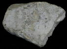 inscription, image 1/3
