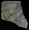stèle, image 1/2