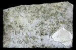 Épitaphe de M. Aurelius Victor, image 3/5