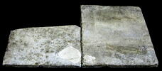 Épitaphe de M. Aurelius Victor, image 5/5