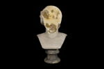 statue en buste, image 1/4
