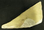 inscription, image 1/2