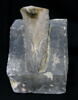 vase, image 2/2
