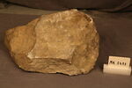 support, image 3/4