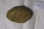 vase, image 1/2