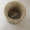 pyxis, image 3/4