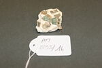 Fragment de mosaïque, image 2/2