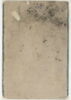 Jeune homme à la rose (page d'album), image 6/12
