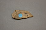 Fragment de fond de bol, image 2/2
