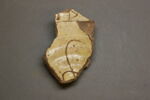 Fragment de plat, image 1/2