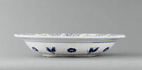 Plat aux raisins, image 2/4