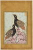 Deux francolins noirs (page d'album), image 1/6