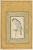 Faucon (page d'album), image 1/3