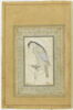 Faucon (page d'album), image 2/3