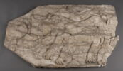Panneau au lion, image 1/2