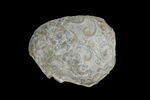Fragment de vase, image 1/2