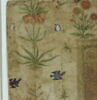Calligraphie (page d'album), image 8/10