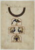 Clepsydre aux paons (page d'un 