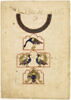 Clepsydre aux paons (page d'un 