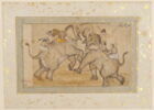 Combat d'éléphants, image 3/3