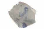 Fragment de vase, image 2/2