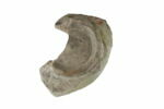 Fond de coupe, image 2/2