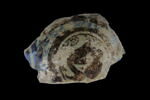 Fragment de coupe, image 2/2