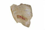 Fragment de bouteille, image 2/2