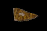 Fragment de vase à décor de rinceaux, image 1/2