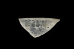 Fragment de plat, image 1/4