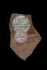 Fragment de vase, image 2/2