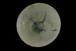 Bol, image 1/3