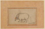 Buffle (page d'album), image 1/2