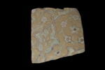 Fragment de carreau de revêtement, image 1/2