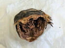 boule magique, image 2/4