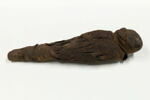 momie d'oiseau, image 3/5