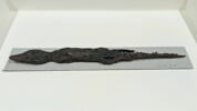 momie de crocodile, image 1/2