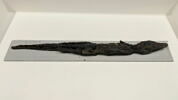 momie de crocodile, image 2/2