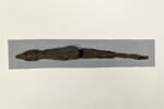 momie de crocodile, image 3/5