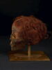 momie ; fragment, image 8/11