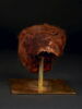 momie ; fragment, image 9/11