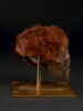 momie ; fragment, image 10/11