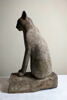 cercueil de chat, image 5/8
