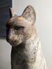 cercueil de chat, image 8/8
