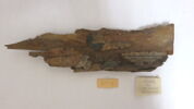 cercueil ; fragment, image 2/4
