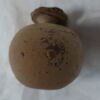 aryballe, image 4/6