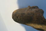 figurine ; fragment, image 3/4