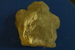 relief, image 2/2