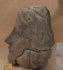 ex-voto, image 3/4