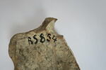 lampe, image 3/4